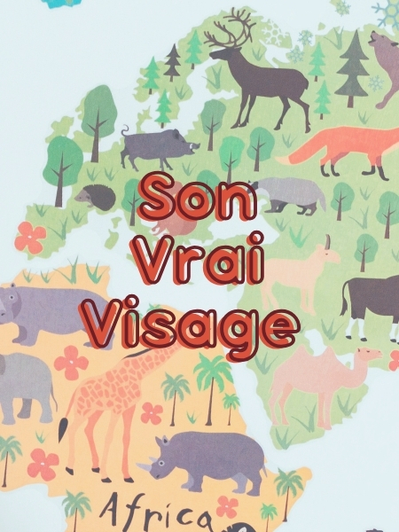 Illustration de présentation du spectacle "Son Vrai Visage" format portrait.